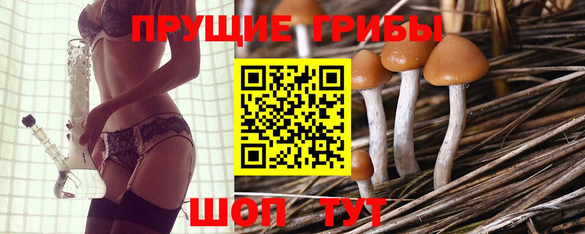 Псилоцибиновые грибы GOLDEN TEACHER Луховицы