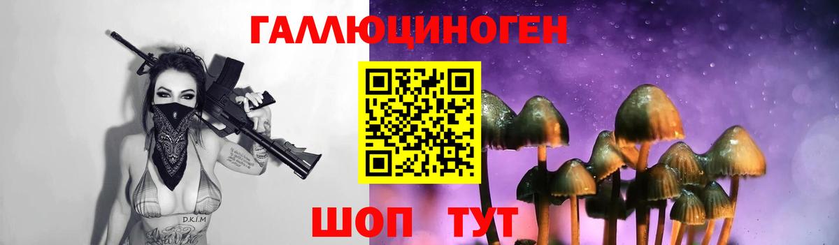 Псилоцибиновые грибы Psilocybe  Вход с VPN  Луховицы 